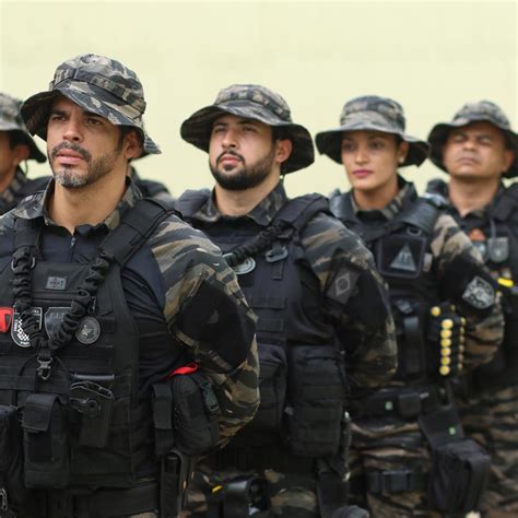 Será que é bom, vale a pena? Investigação preliminar pela Polícia Penal está em ...
