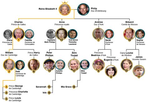 Découvrez en infographie sa position dans l'arbre généalogique royal. BFMTV on Twitter: "INFOGRAPHIE - Comprendre l'ordre de ...