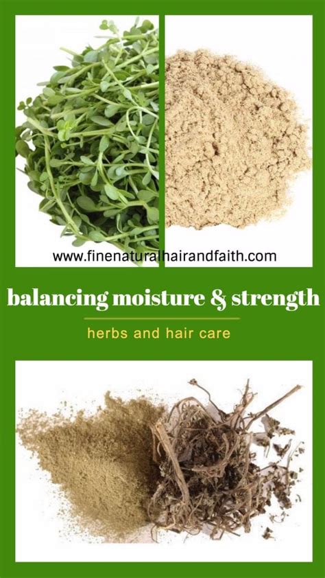 Herbs That Moisturize And Strengthen Herbs For Hair Care