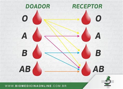 Doação De Sangue Compatibilidade