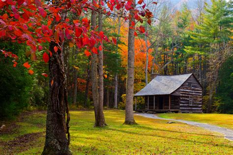 Cabin In Autumn Forest 4k Ultra Hd Wallpaper Background Image 4096x2732