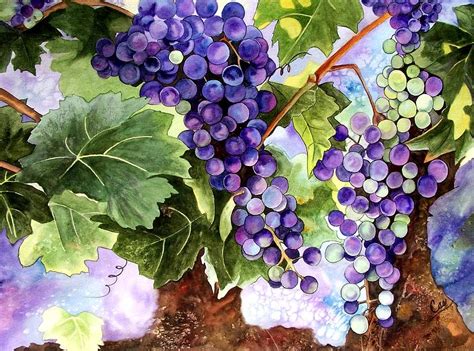 Color Grape Vine Design