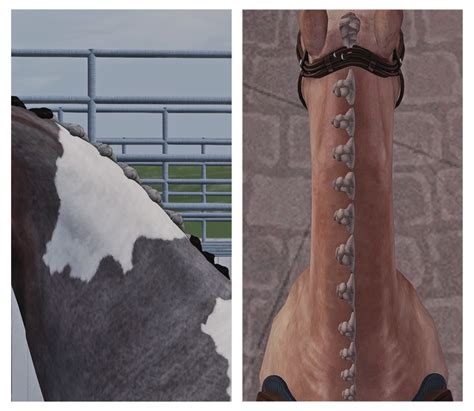 The Sims 3 Pets Sims Pets Sims 3 Mods Sims Cc Horse Braiding Horse