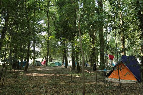 It is the oldest rock festival in portugal and in the iberian peninsula. EDP Vilar de Mouros assume-se como festival "maduro ...