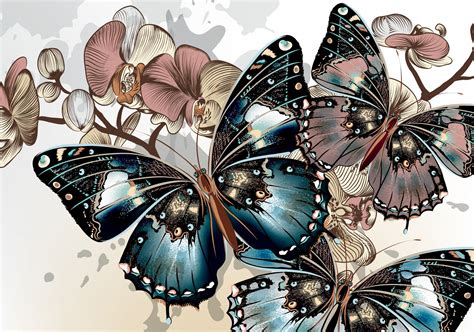 Butterfly Vector Wings Color Flowers Background Hd Wallpaper