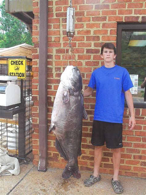 Holy Catfish Nc Teen Reels In A Record Breaking Blue Catfish Wlos