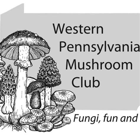 Western Pennsylvania Mushroom Club Fungi Fun And Friends