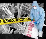 Asbestos Removal Contractors Photos