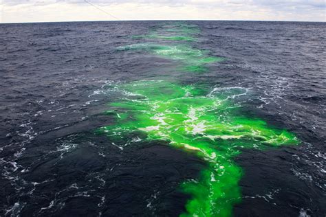 The gulf stream influences the climate of the east coast of north america from florida to newfoundland, and the west coast of europe. First Direct Evidence of Gulf Stream "Blender Effect ...