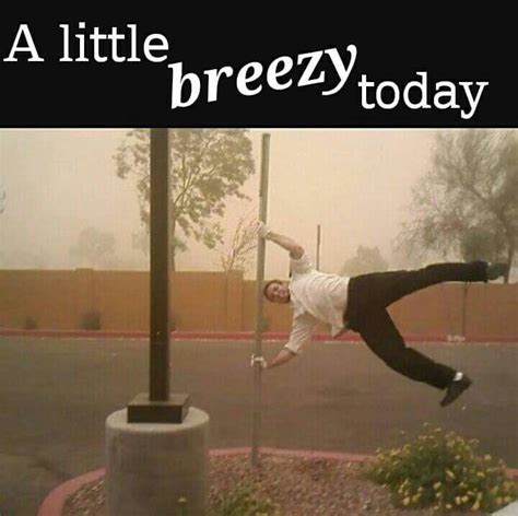 Windy Day Weather Memes Funny Weather Funny Memes
