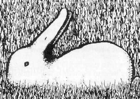 ¿pato O Conejo Lo Que Veas Dirá Mucho Sobre Ti Optical Illusions For