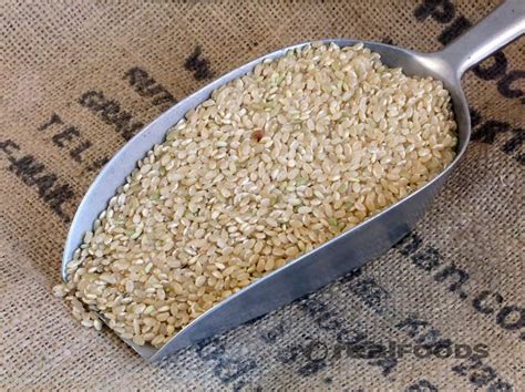 Organic Short Grain Brown Rice From Real Foods Buy Bulk Wholesale Online