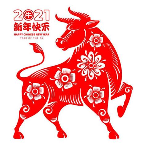 Chinese Lunar New Year Hubpages