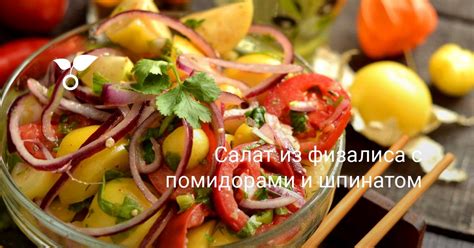 Салат из физалиса с помидорами и шпинатом. Пошаговый рецепт с фото ...