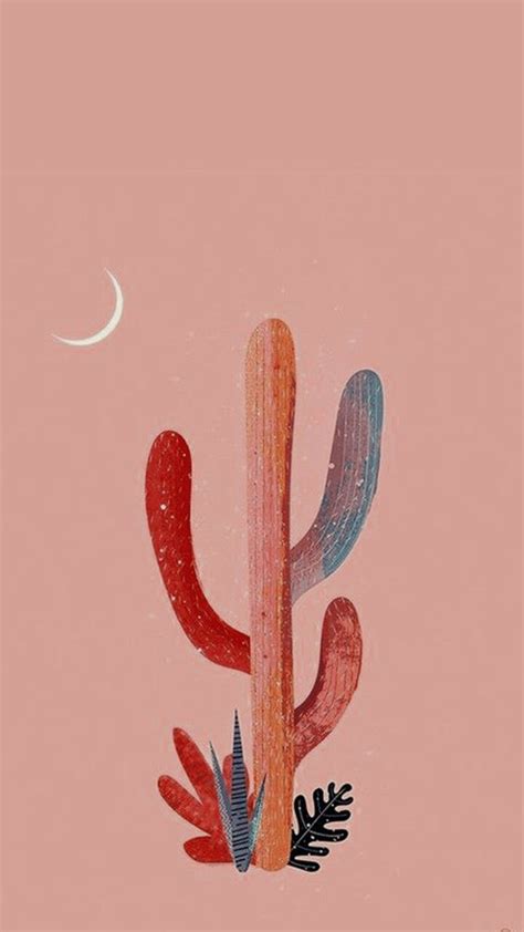 Aesthetic Cactus Profile Pic Wallpapers Wallpaper Cave