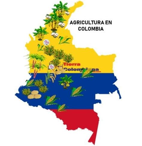 Agricultura En Colombia Tierra Colombiana