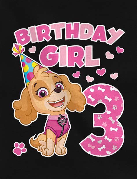 Birthday Girl Shirt Paw Patrol Skye 3rd Birthday Toddler Kids Girls F