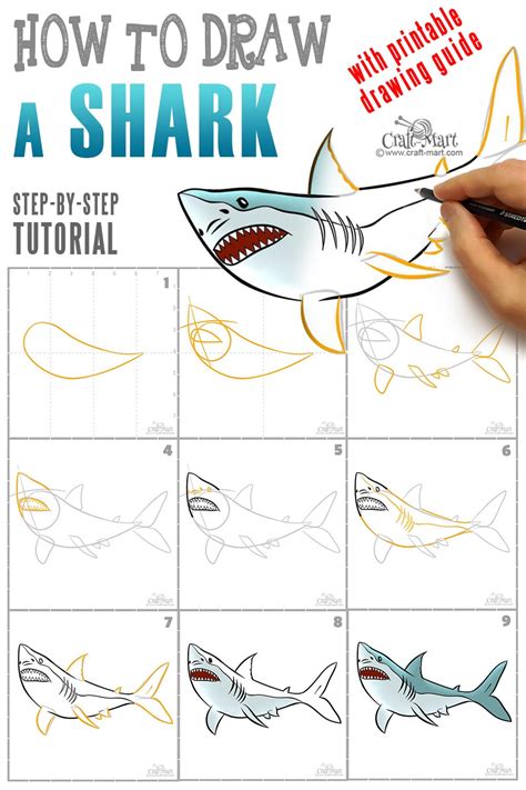 Shark Drawing Easy Drawings Step By Step Drawing My XXX Hot Girl