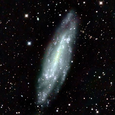 Spiral Galaxy C3 Ngc4236 Telescope Live
