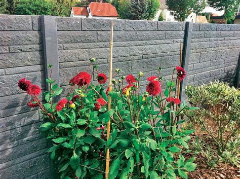 Mehr lebensqualität und komfort lärmschutz im garten: Lärmschutz im Garten - Mein schöner Garten