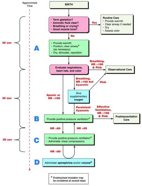 Neonatal Resuscitation Program Malaysia Stephen Buckland