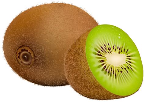 Kiwi Fruit Clipart 101 Clip Art
