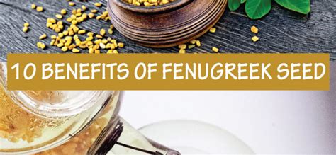 An intriguing combination that's curiously invigorating. 10 BENEFITS OF FENUGREEK SEED - Go Viral Malaysia