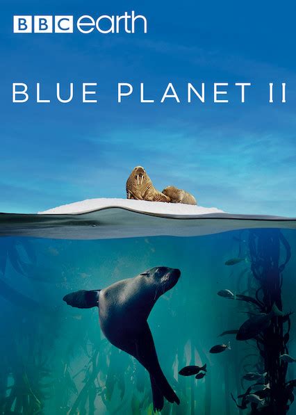 Blue Planet Ii 2017 S01e07 Our Blue Planet Watchsomuch
