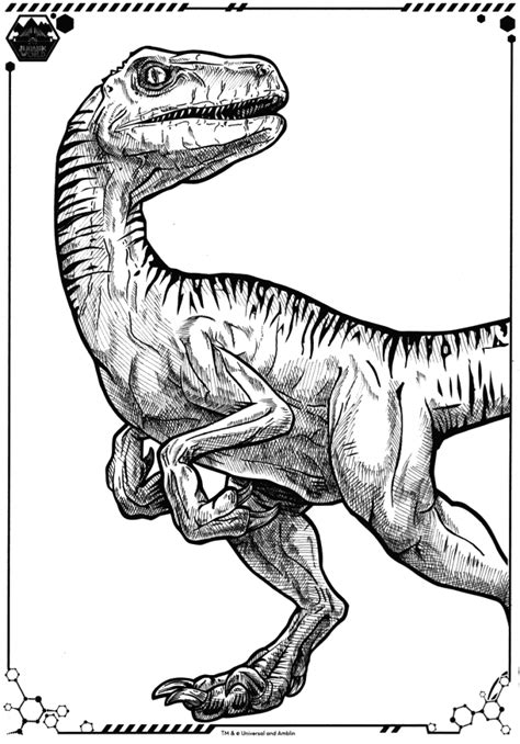 Jurassic World Coloring Pages ⋆ Coloringrocks Dinosaur Sketch