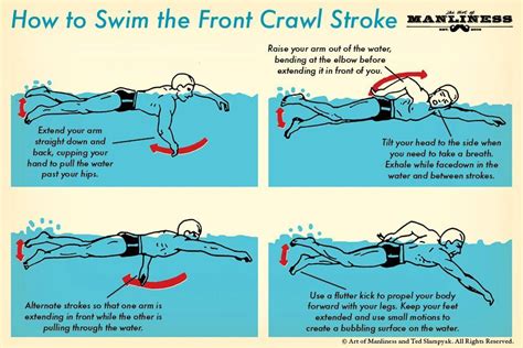 How To Swim The Front Crawl Your 60 Second Guide Swimming Strokes