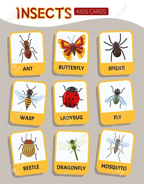 Insects For Kids
