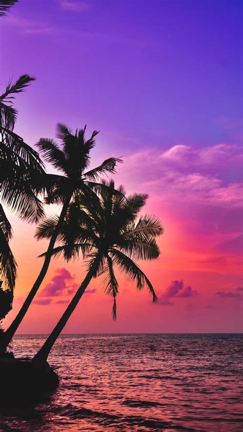 Download Tropical Island Beach Pink Sky Sunset Palms 750x1334