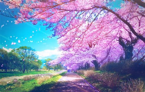 Anime Park Wallpapers Wallpaper Cave