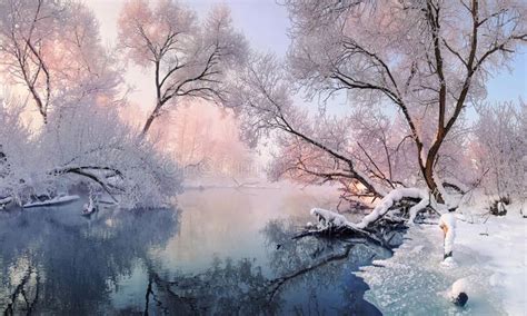 Bright Winter Landscape With Hoarfrost Everywhere Mostly Calm Winter