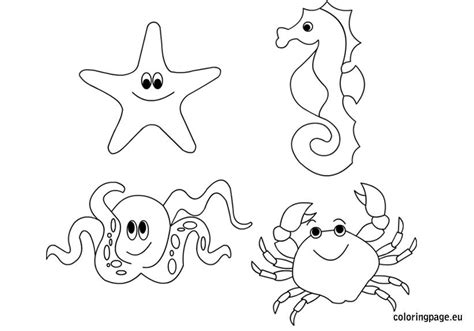 Printable Sea Animals Coloring Pages Printable Word Searches