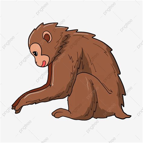 Cute Clipart Monkey 20 Free Cliparts Download Images On Clipground 2021