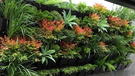 Green walls, another form of vertical garden design ideas, are the latest fashion in gardening. Best Plants for Vertical Garden - Greenkosh