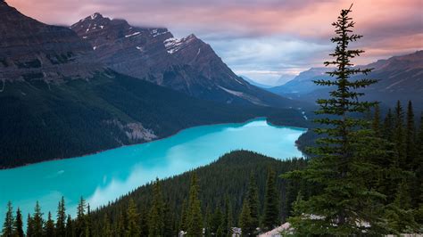 Peyto Lake Canada Mountains 4k Wallpaperhd Nature Wallpapers4k