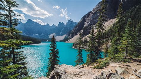 Green Trees Nature Landscape Moraine Lake Canada Mountains Forest