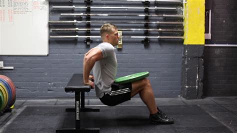 Awesome Photos Of Weighted Bench Dip Ideas Artha Design