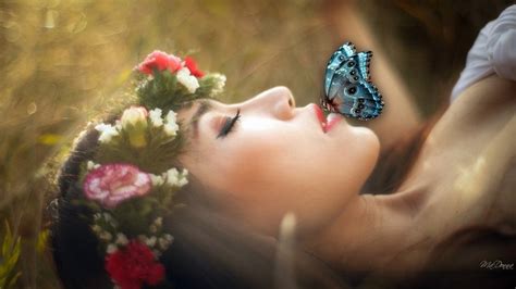 Butterfly Kisses Download Hd Wallpapers And Free Images