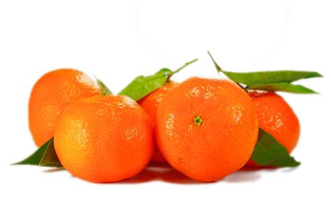 History Of Food 5 Interesting Facts About Oranges