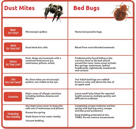 Dust Mites Versus Bed Bugs Bed Bug Bites Bed Bug Remedies Rid Of