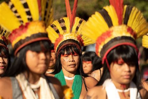 Plano De Aula Indígenas No Brasil 3º Ano Do Ensino Fundamental