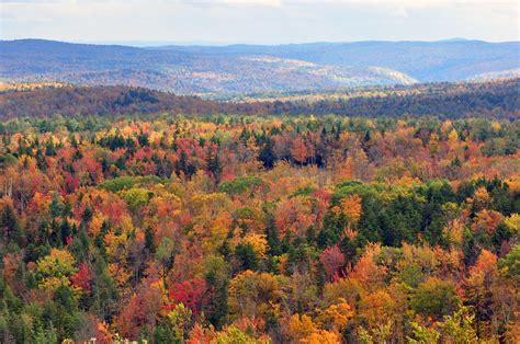 Find and download fall colors wallpapers wallpapers, total 31 desktop background. Android Wallpaper: Fall Colors
