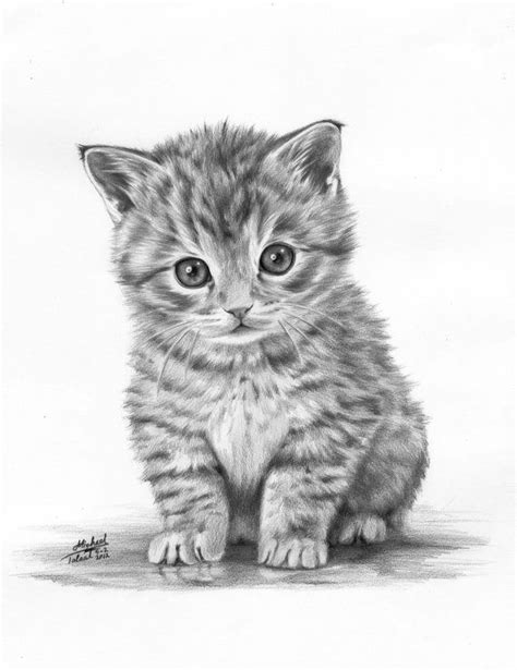 Cats Li Dibuji Art2016 • Rart Realistic Animal Drawings Kitten