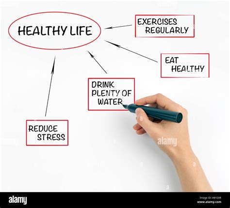Diagram Of Healthy Life Stock Photo Alamy