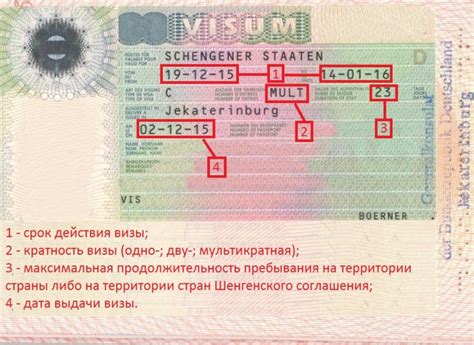 Виза в Германию для ребенка: документы и сроки оформления в 2023 году