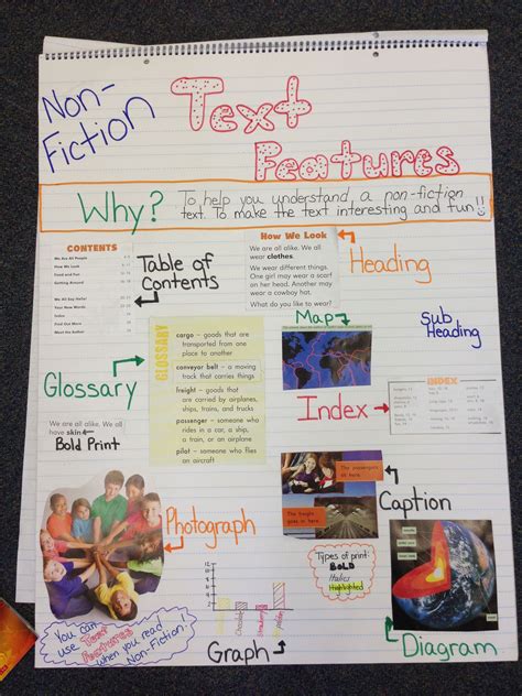 Text Features Informational Text Lesson Reading Posters