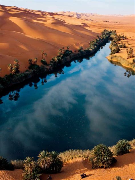 Free Download Sahara Desert Oasis Wallpaper Size 1600x1200